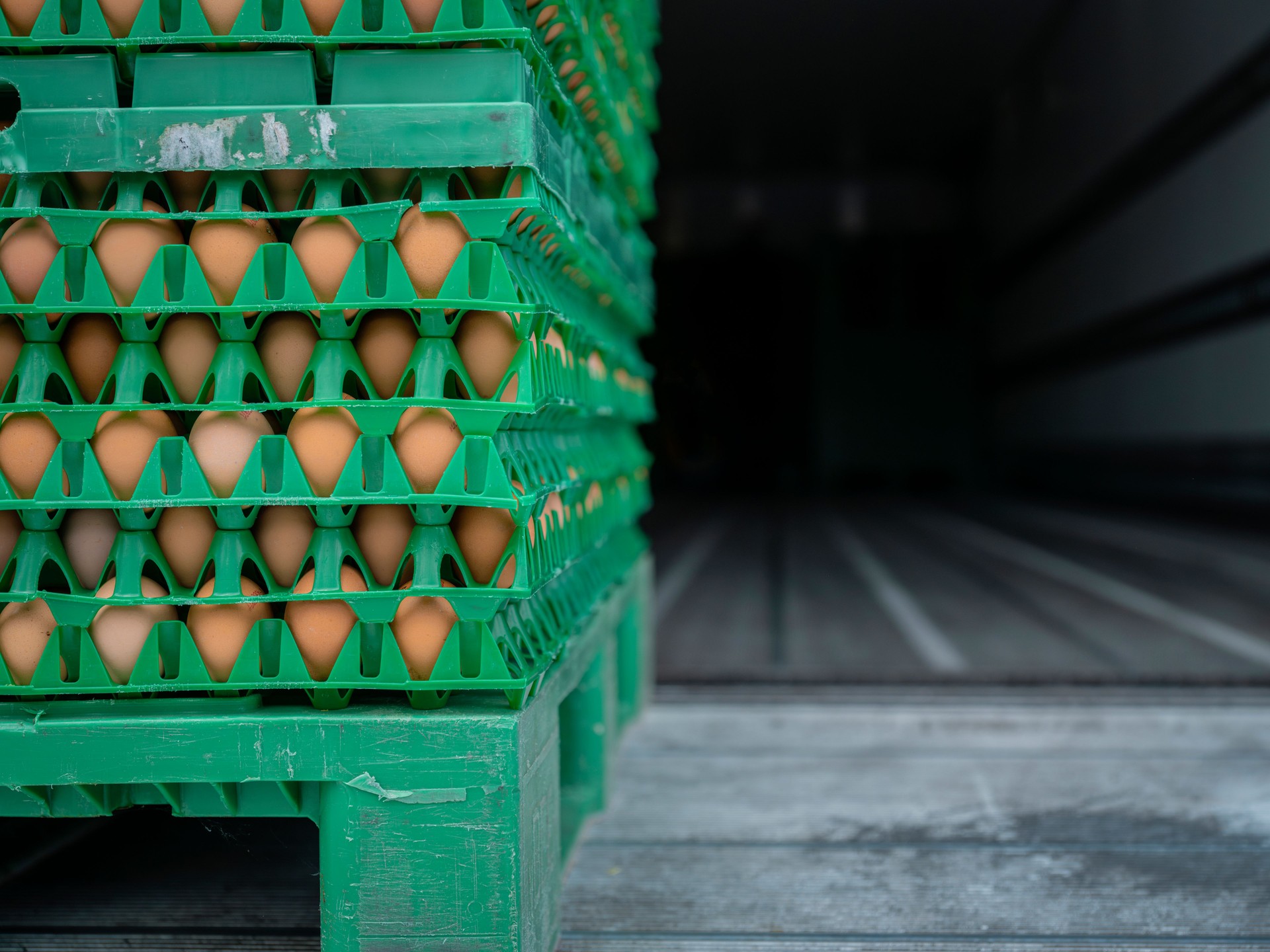 pallet of eggs