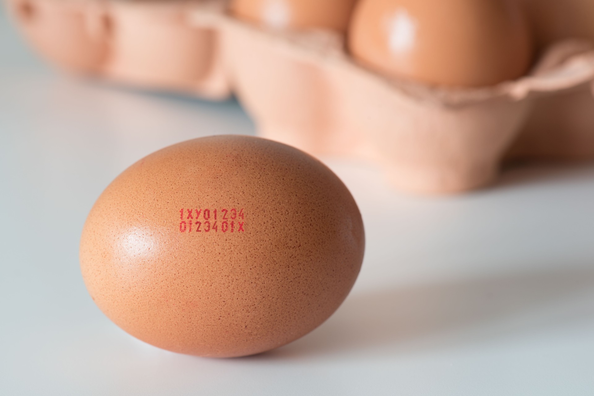 European marking code numbers printed in egg