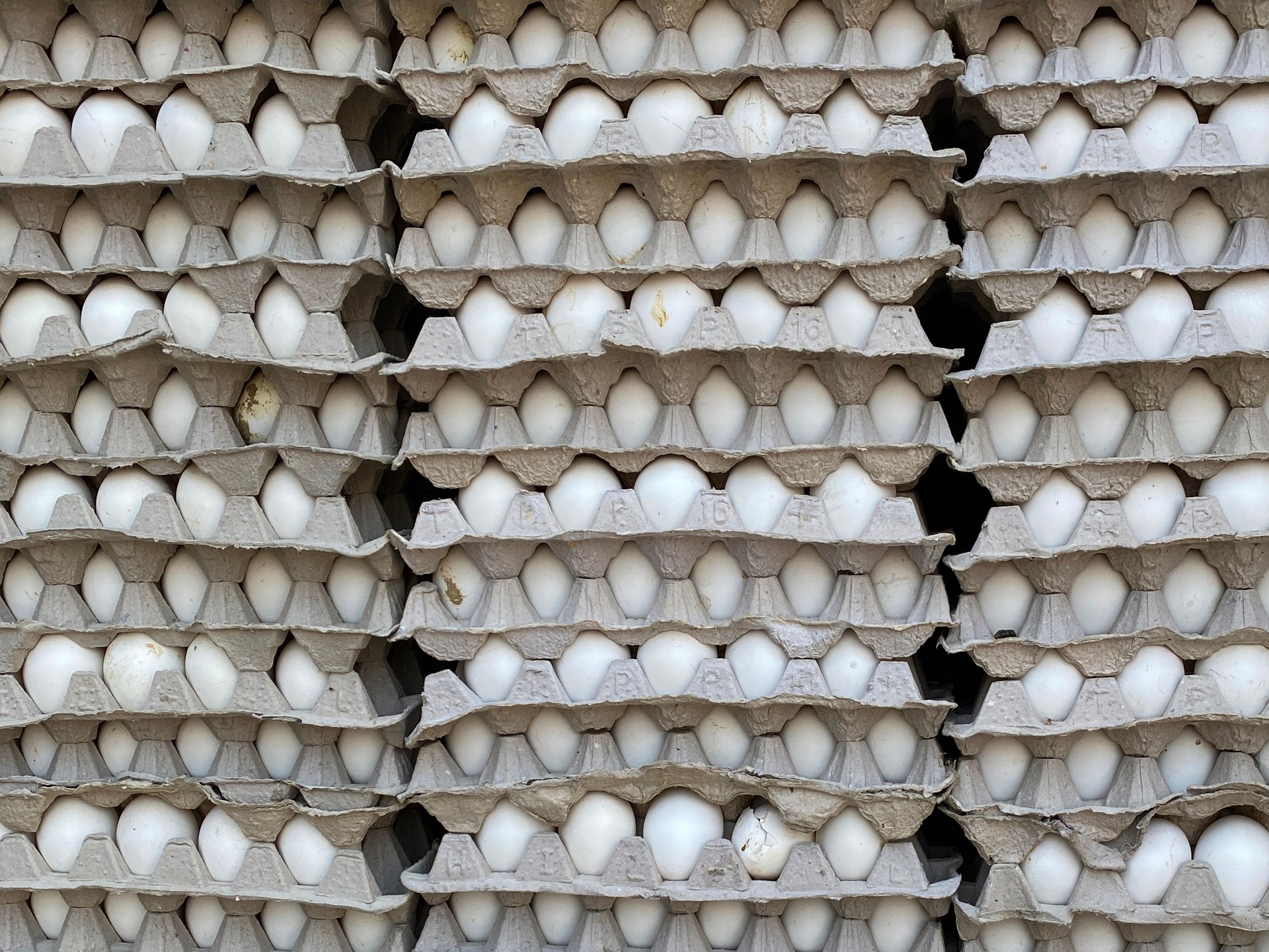 Full frame image of stacks cardboard, egg trays containing batches of white chicken eggs, focus on foreground