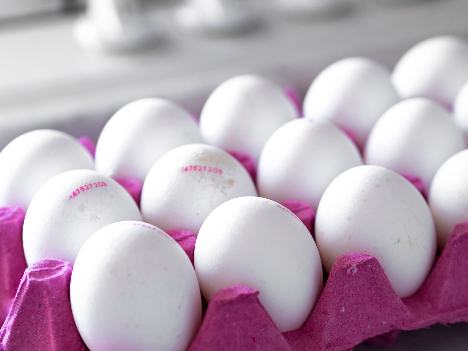 fresh white eggs with barcode numbers on red egg case.